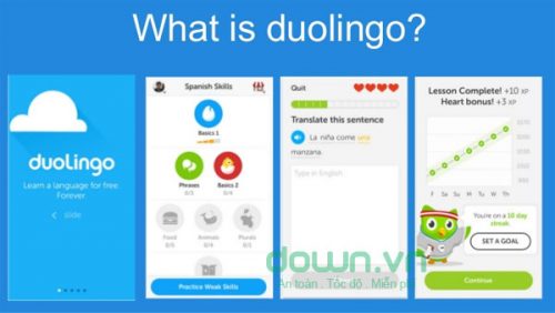 duolingo - Phần mềm học ngữ pháp tiếng Anh hiệu quả 1