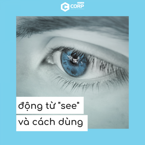Lưu ý cách dùng động từ “See” trong tiếng Anh để tránh mất điểm oan